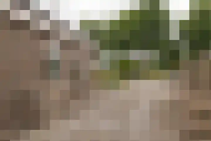 Spoorsingel 35 A Musselkanaal thumbnail 36