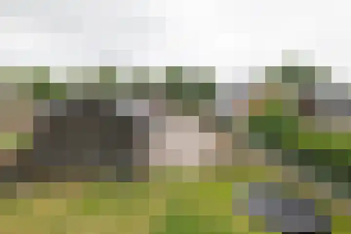 Spoorsingel 35 A Musselkanaal thumbnail 40