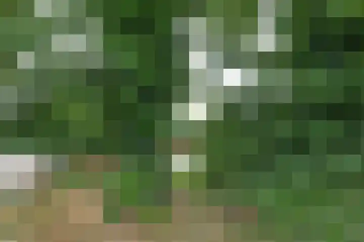Spoorsingel 35 A Musselkanaal thumbnail 42
