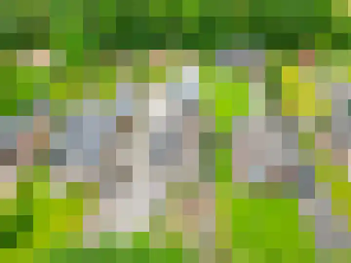 Spoorsingel 35 A Musselkanaal thumbnail 43