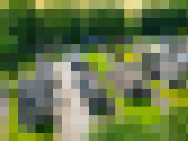 Spoorsingel 35 A Musselkanaal thumbnail 44