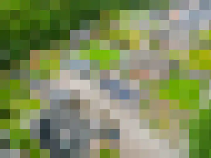 Spoorsingel 35 A Musselkanaal thumbnail 47