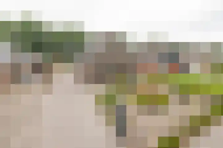 Spoorsingel 35 A Musselkanaal thumbnail 5