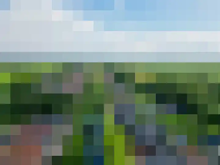 Spoorsingel 35 A Musselkanaal thumbnail 55