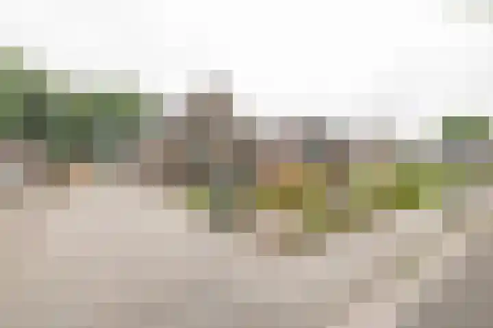 Spoorsingel 35 A Musselkanaal thumbnail 6