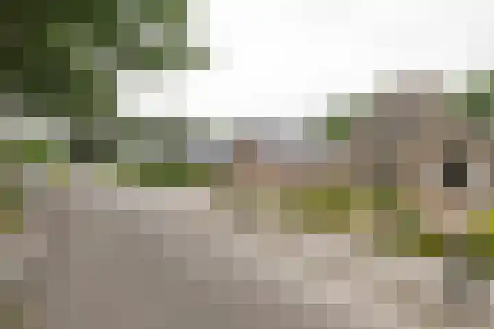 Spoorsingel 35 A Musselkanaal thumbnail 9