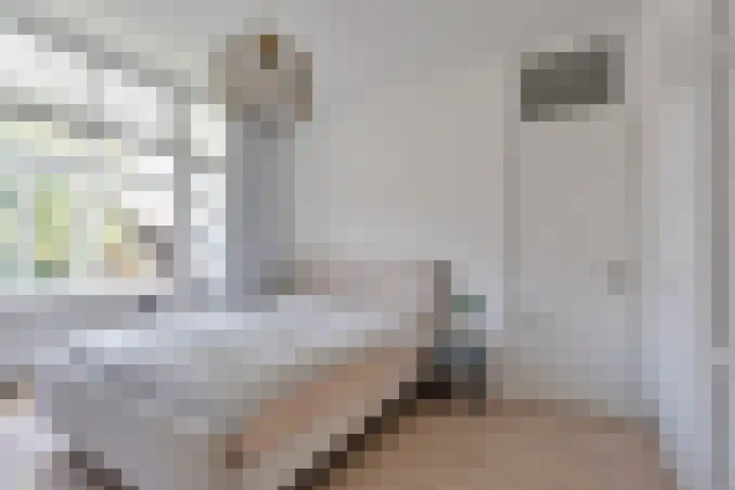 Spoorsingel 36 B 01 Rotterdam thumbnail 22