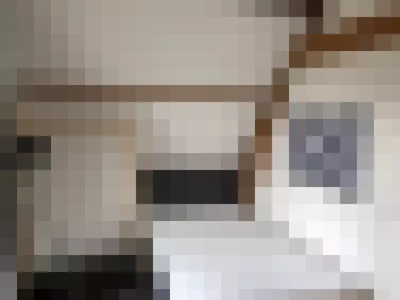 Spoorsingel 36 Rotterdam thumbnail 4