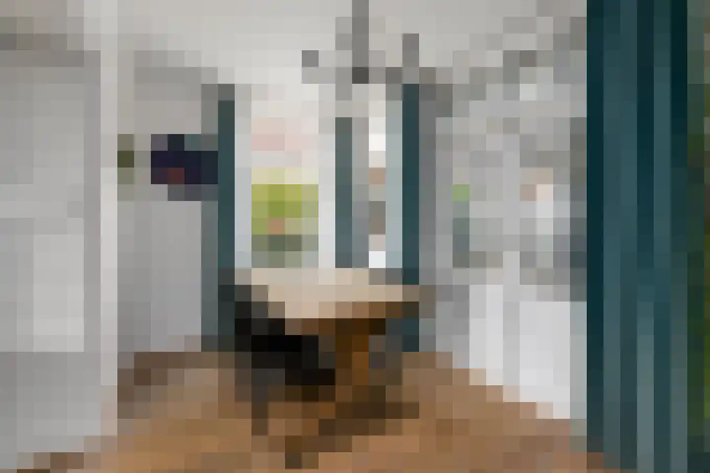 Spoorsingel 37 Wolvega thumbnail 10