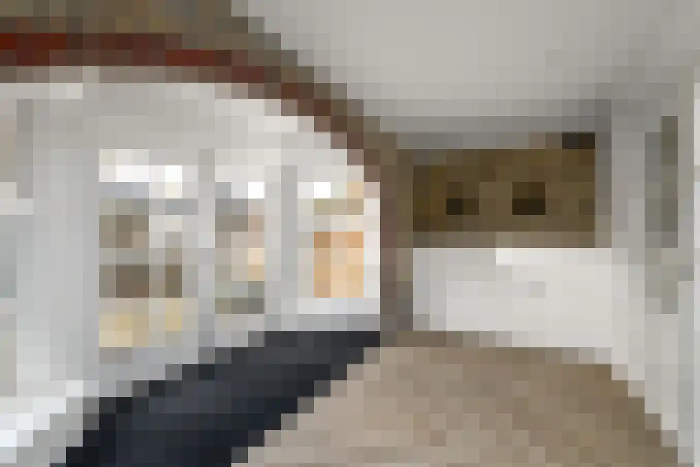 Spoorsingel 37 Wolvega thumbnail 29