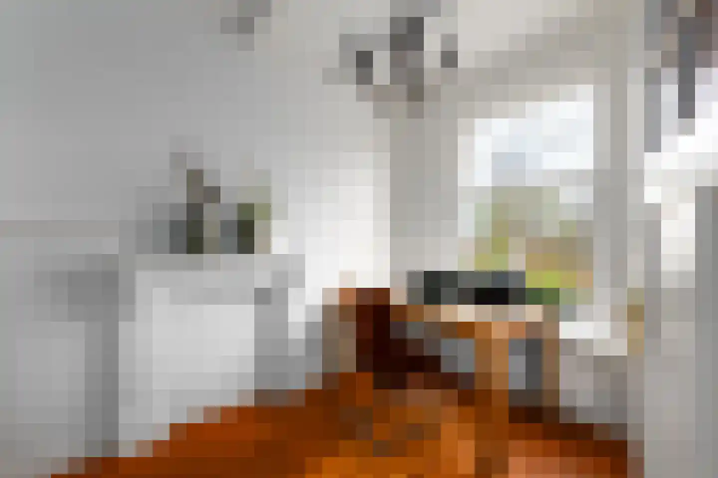 Spoorsingel 37 Wolvega thumbnail 34