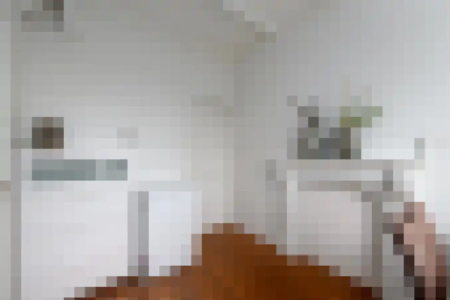 Spoorsingel 37 Wolvega thumbnail 35