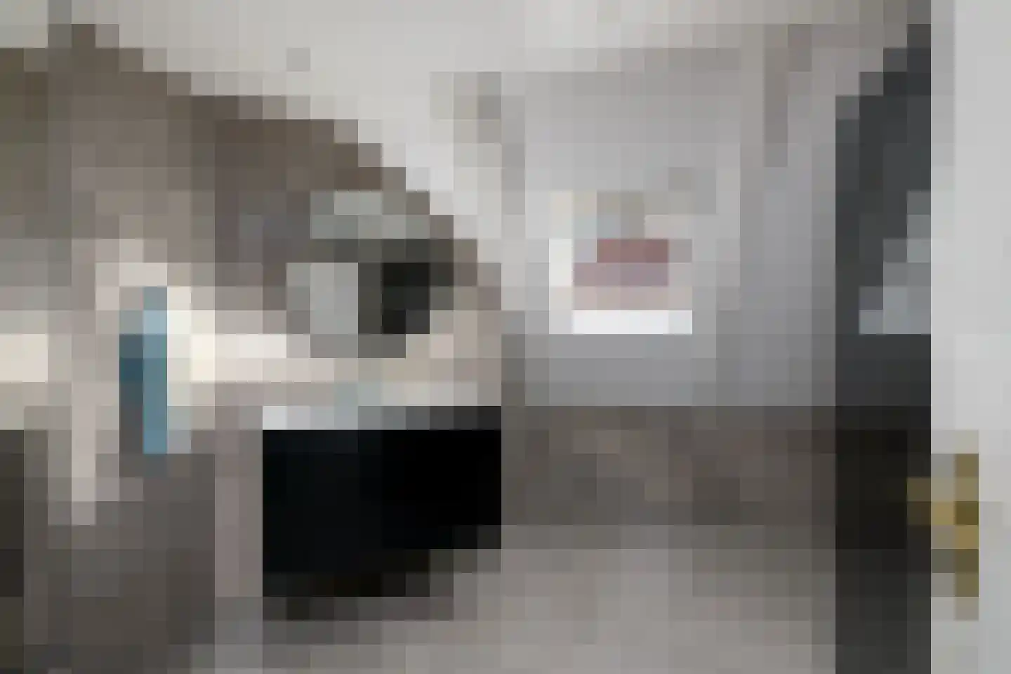 Spoorsingel 37 Wolvega thumbnail 47