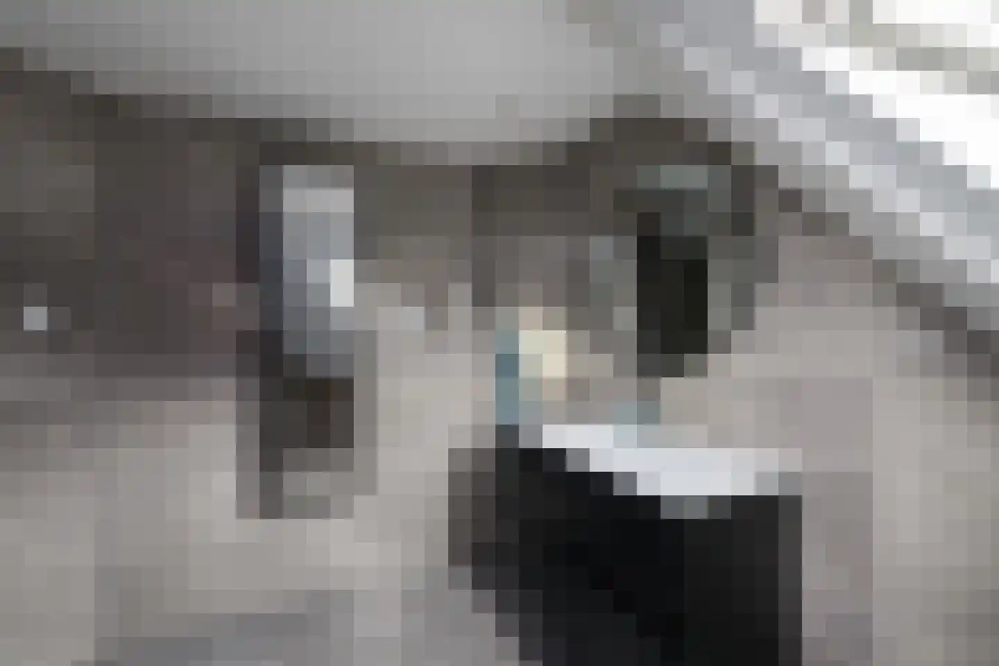 Spoorsingel 37 Wolvega thumbnail 48