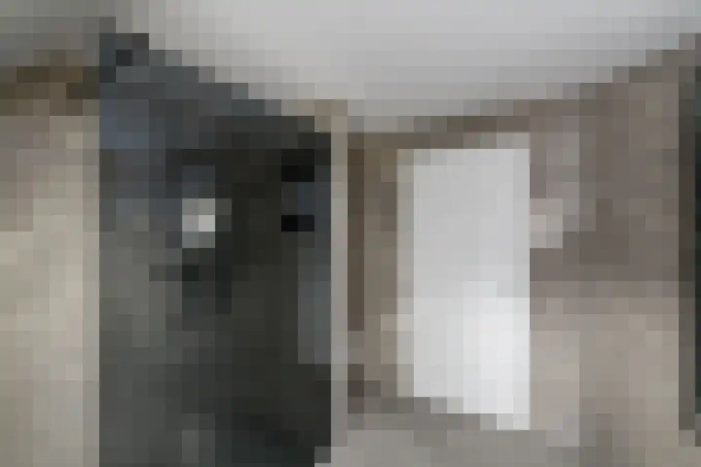 Spoorsingel 37 Wolvega thumbnail 49