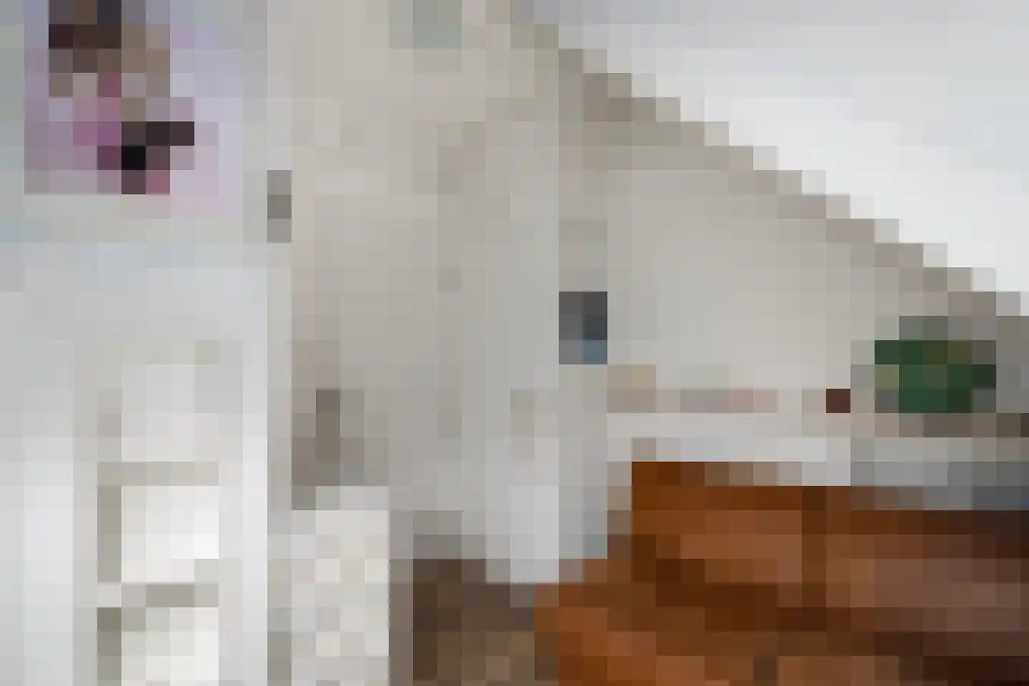 Spoorsingel 37 Wolvega thumbnail 53