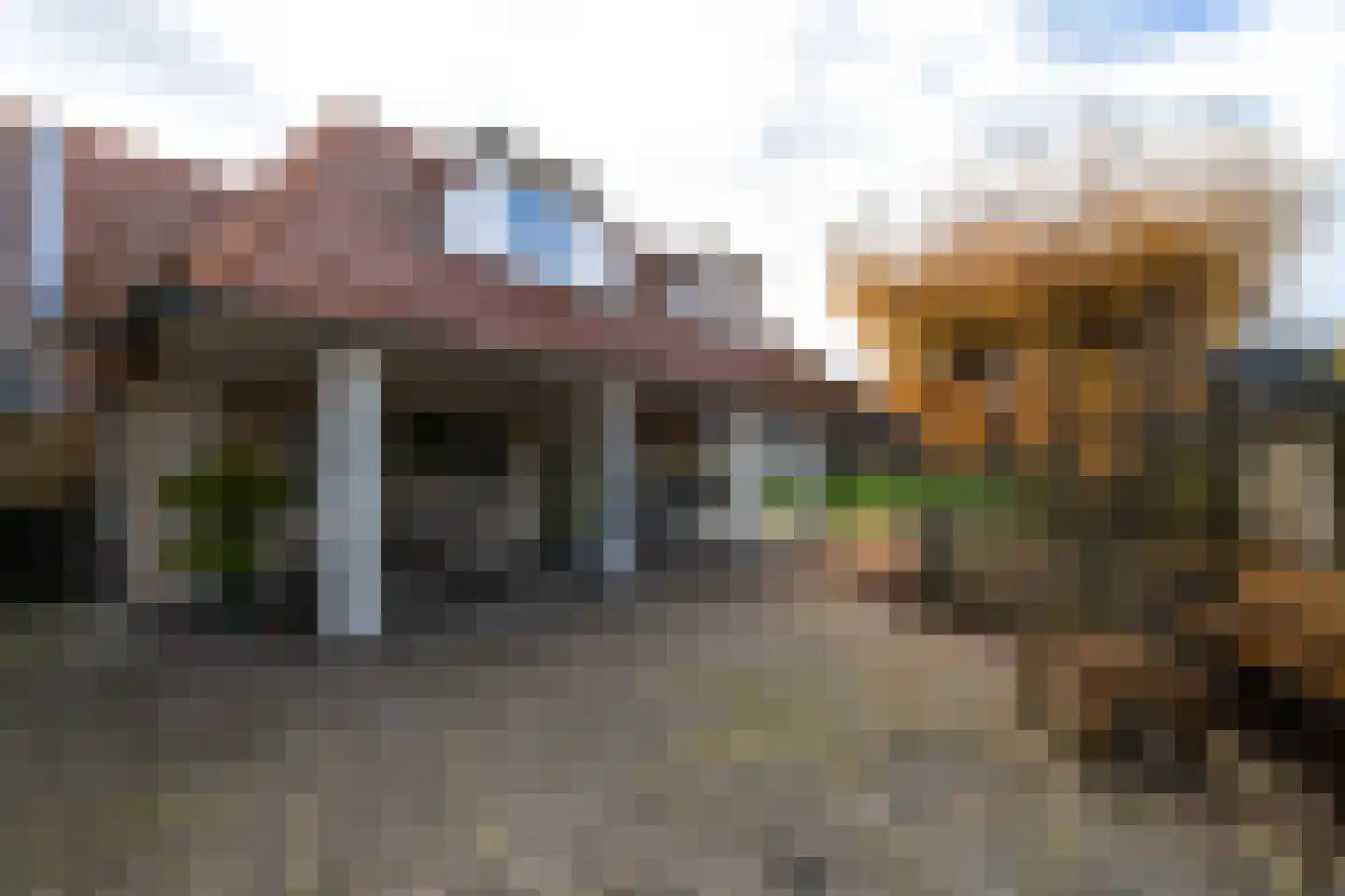 Spoorsingel 37 Wolvega thumbnail 65