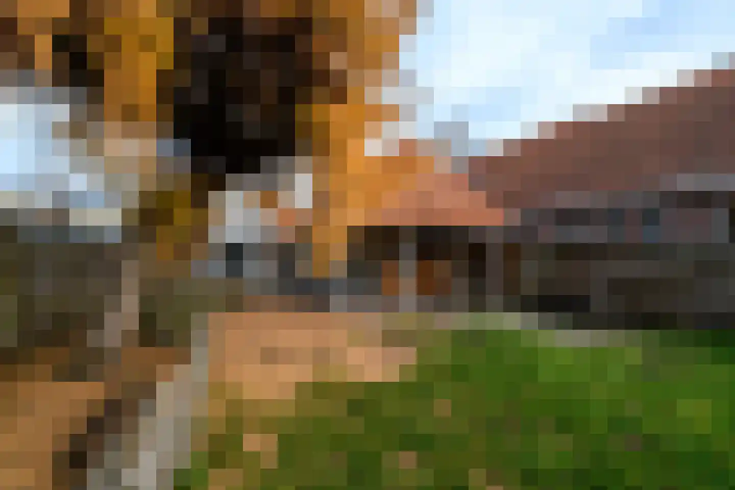 Spoorsingel 37 Wolvega thumbnail 69