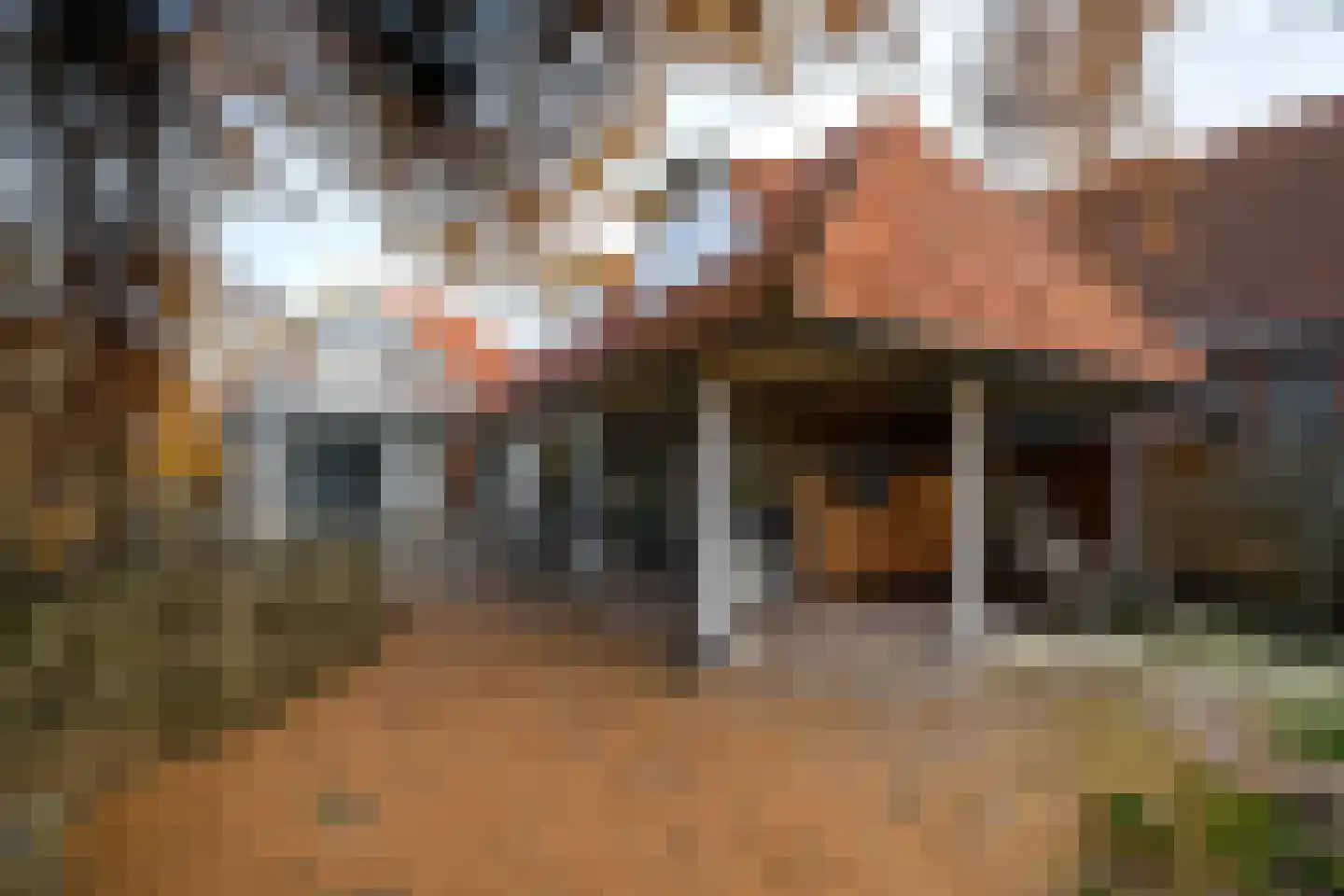 Spoorsingel 37 Wolvega thumbnail 70