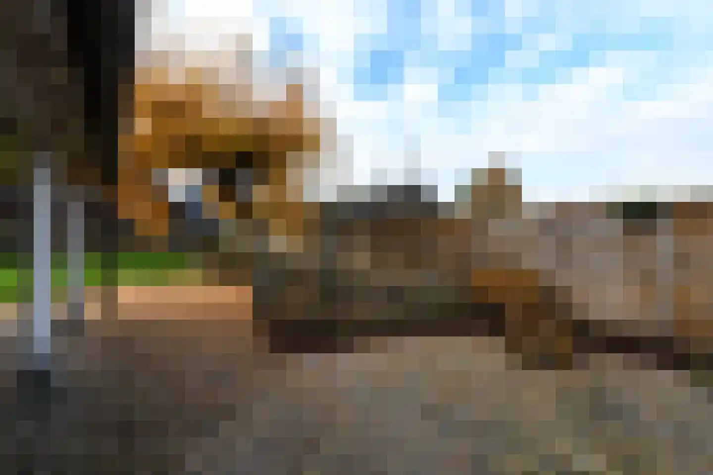 Spoorsingel 37 Wolvega thumbnail 71