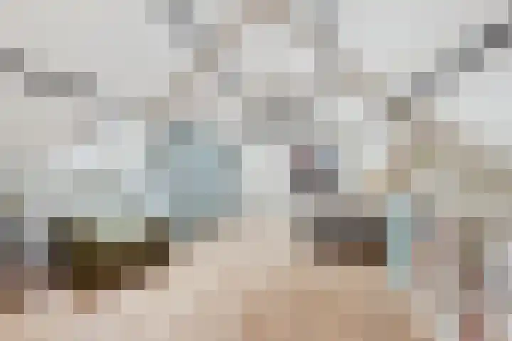 Spoorsingel 38 B Rotterdam thumbnail 23