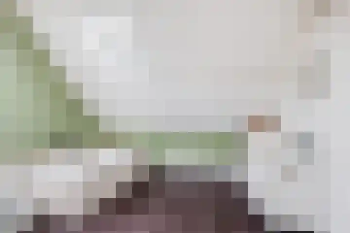 Spoorsingel 38 B Rotterdam thumbnail 26