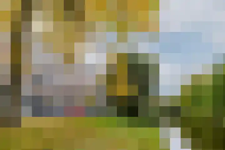 Spoorsingel 38 B Rotterdam thumbnail 34