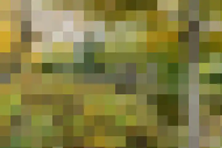 Spoorsingel 38 B Rotterdam thumbnail 36