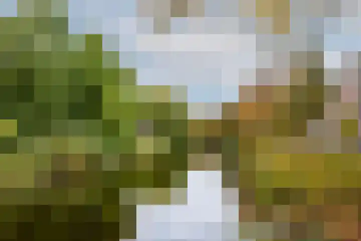 Spoorsingel 38 B Rotterdam thumbnail 37