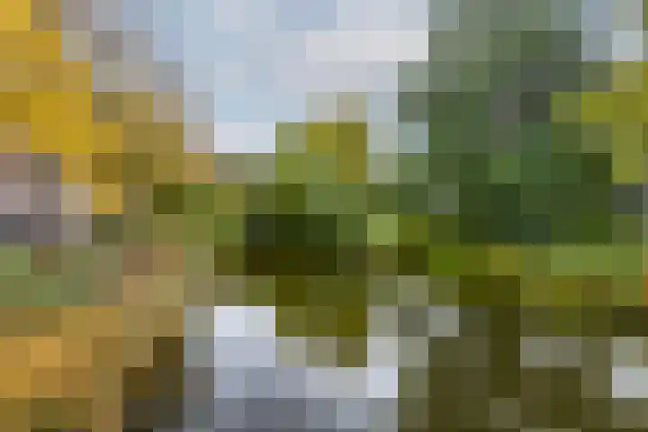 Spoorsingel 38 B Rotterdam thumbnail 38