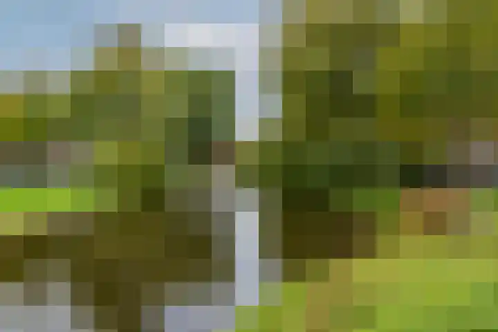 Spoorsingel 38 B Rotterdam thumbnail 39