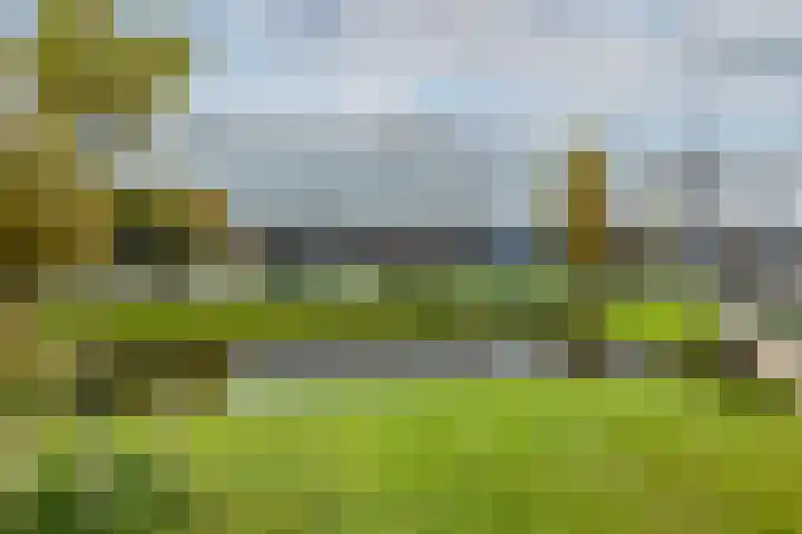 Spoorsingel 38 B Rotterdam thumbnail 40