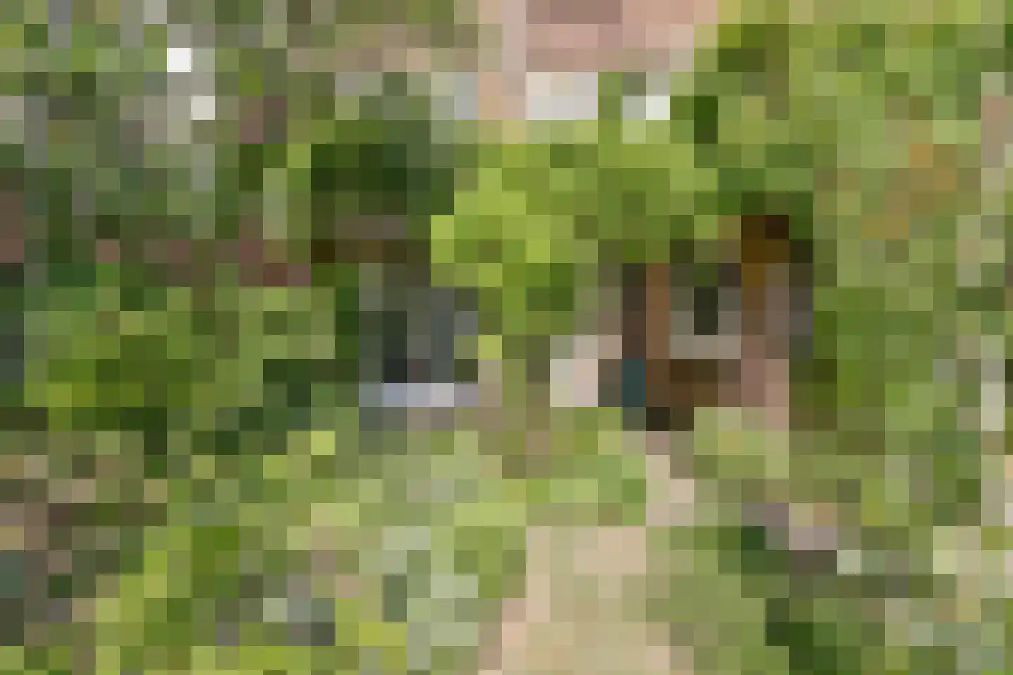 Spoorsingel 42 A Delft thumbnail 5