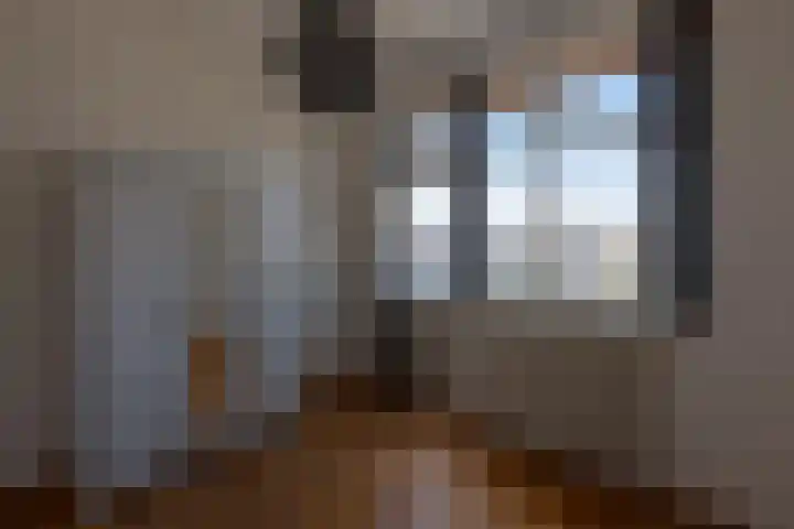 Spoorsingel 44 Delft thumbnail 17
