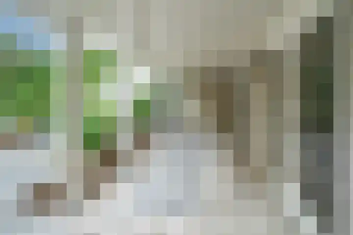 Spoorsingel 46 Delft thumbnail 29