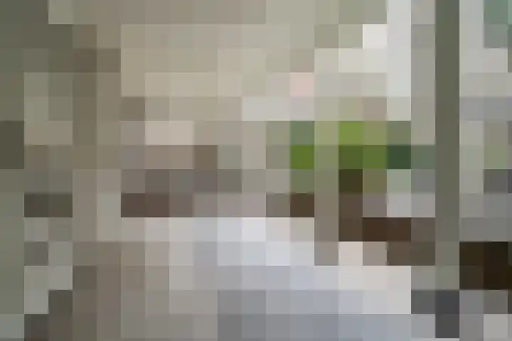 Spoorsingel 46 Delft thumbnail 30