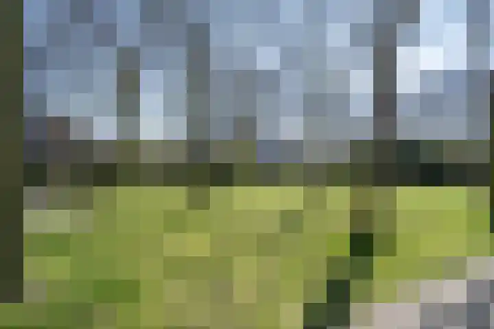 Spoorsingel 46 Delft thumbnail 84