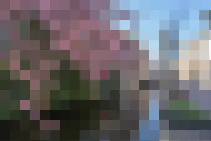 Spoorsingel 46 Delft thumbnail 88