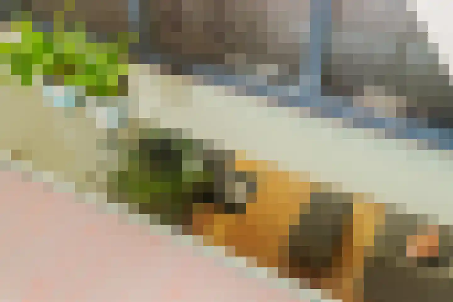 Spoorsingel 47 Rotterdam thumbnail 11