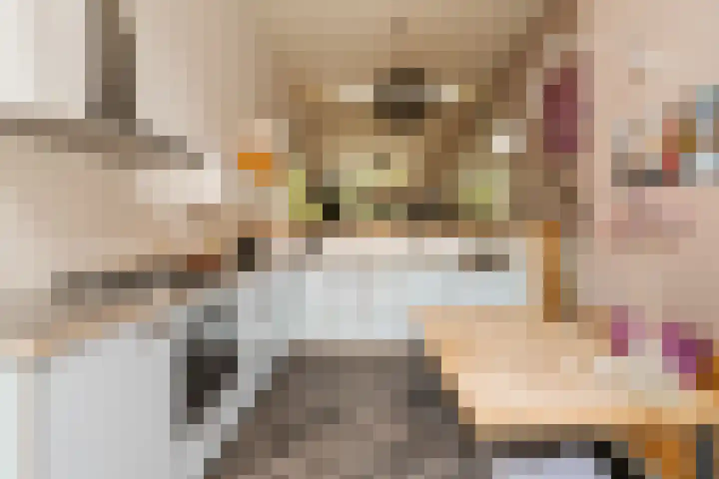 Spoorsingel 47 Rotterdam thumbnail 4