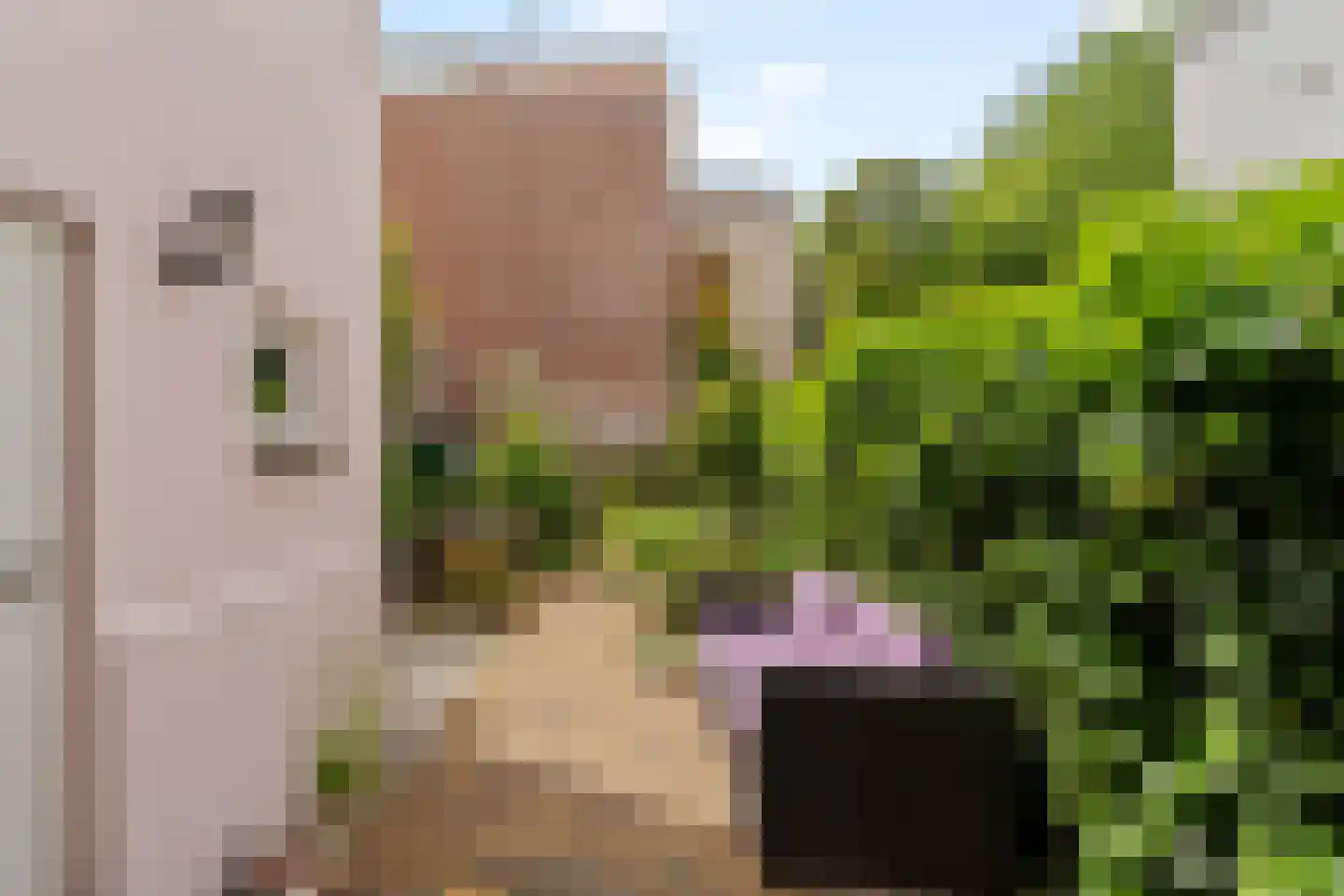 Spoorsingel 47 Rotterdam thumbnail 43