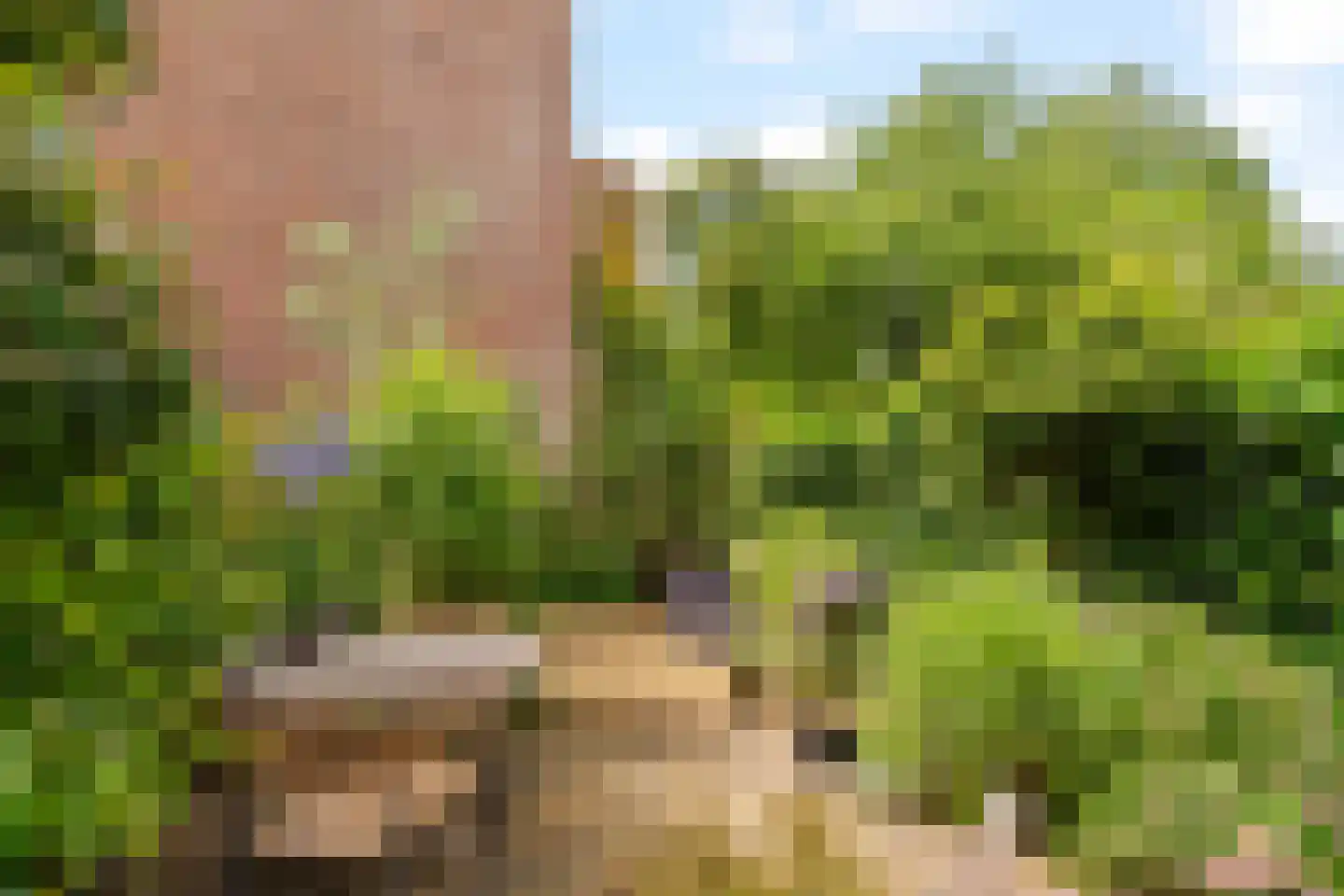 Spoorsingel 47 Rotterdam thumbnail 44