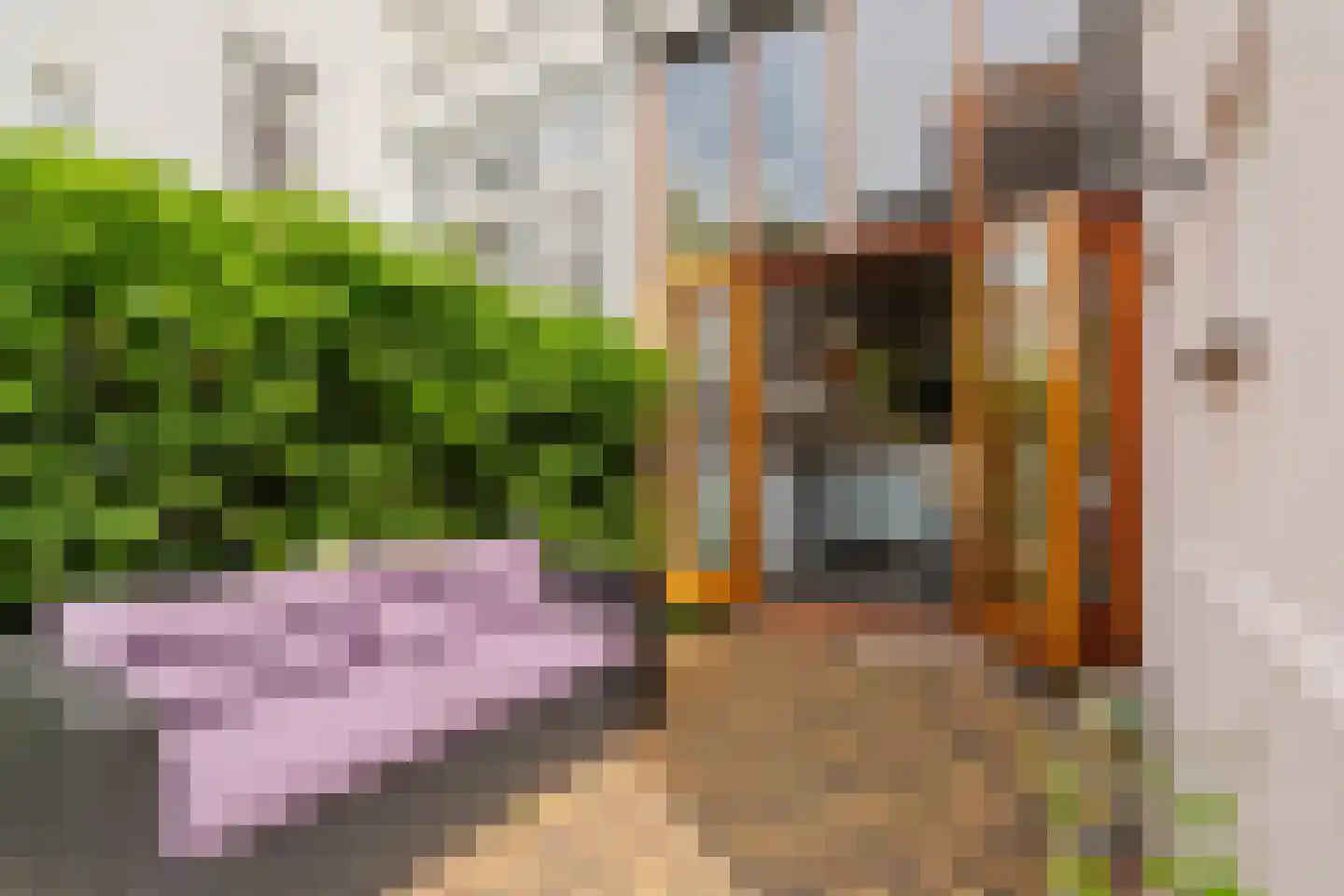Spoorsingel 47 Rotterdam thumbnail 45