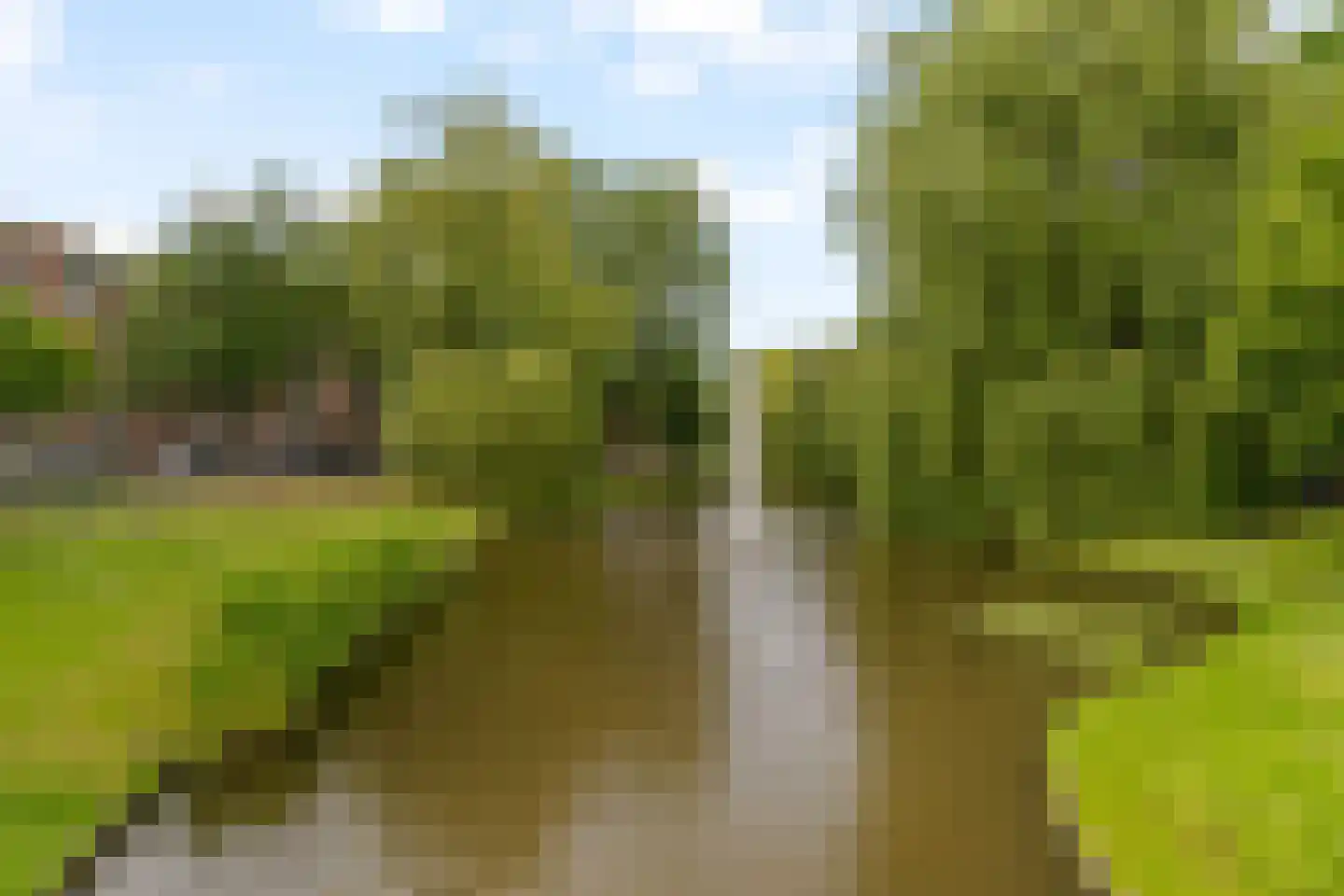 Spoorsingel 47 Rotterdam thumbnail 47