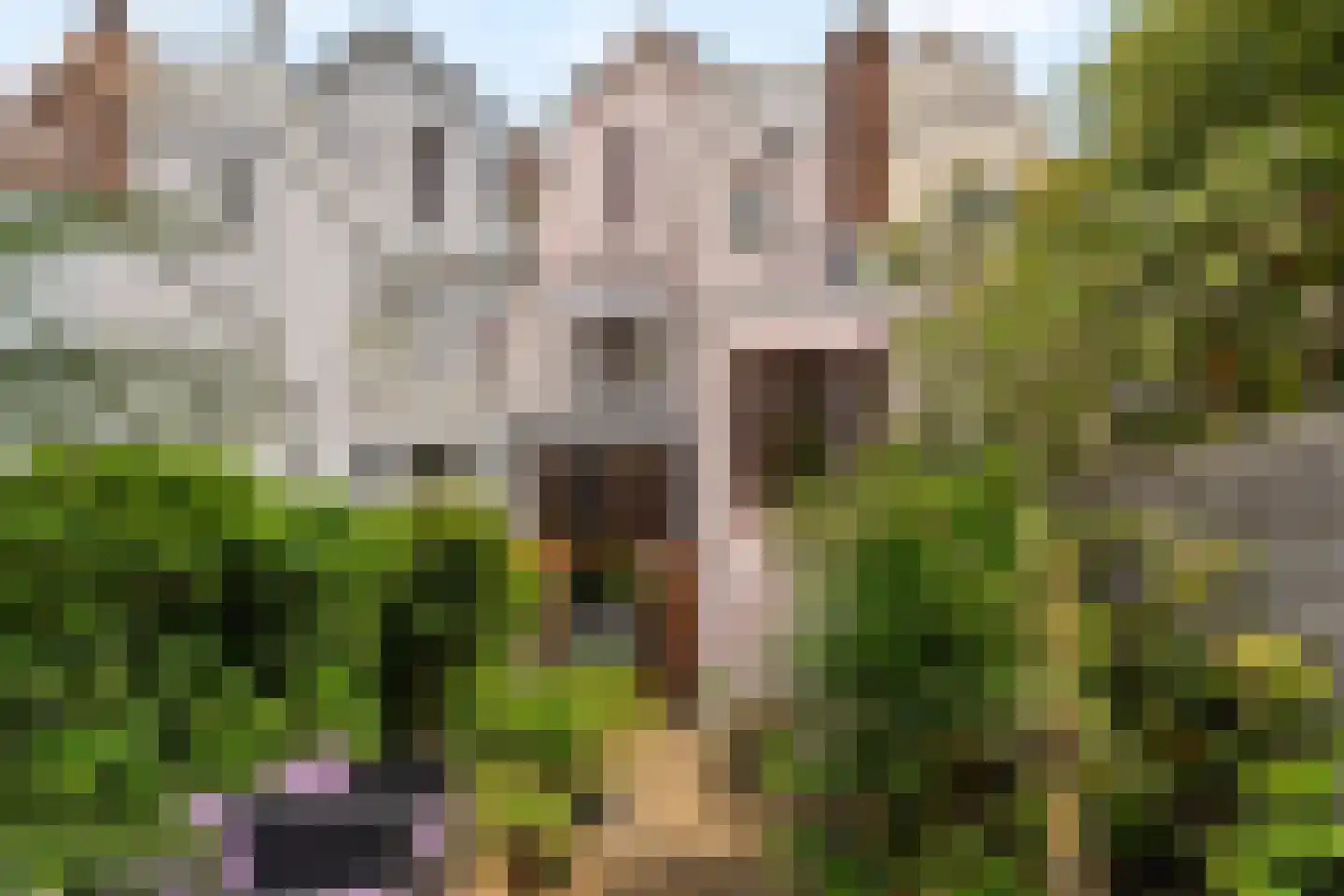 Spoorsingel 47 Rotterdam thumbnail 7