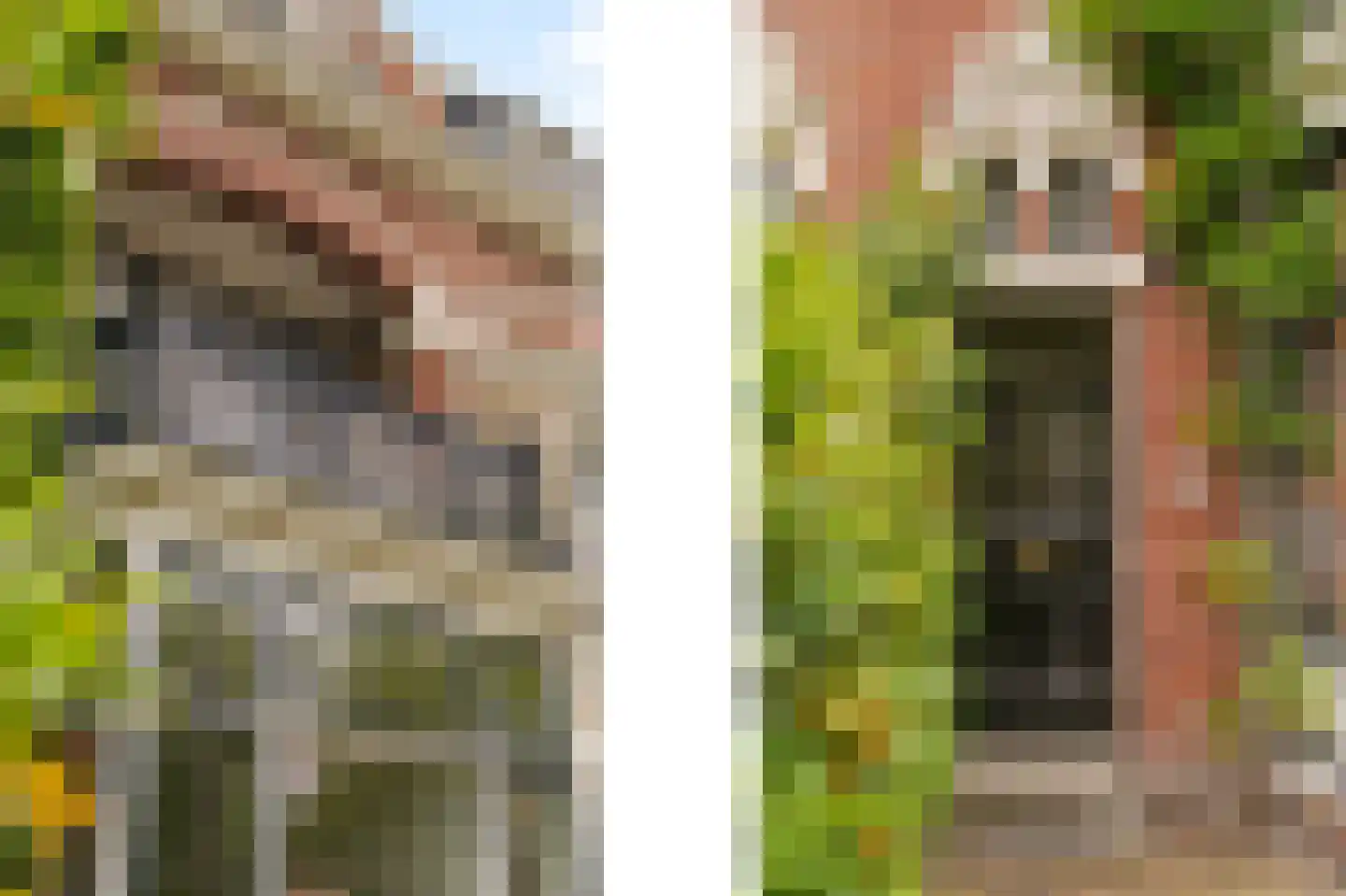 Spoorsingel 47 Rotterdam thumbnail 8
