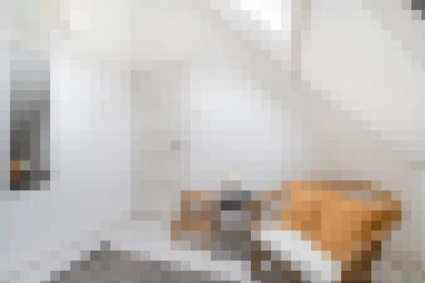 Spoorsingel 48 B Rotterdam thumbnail 31