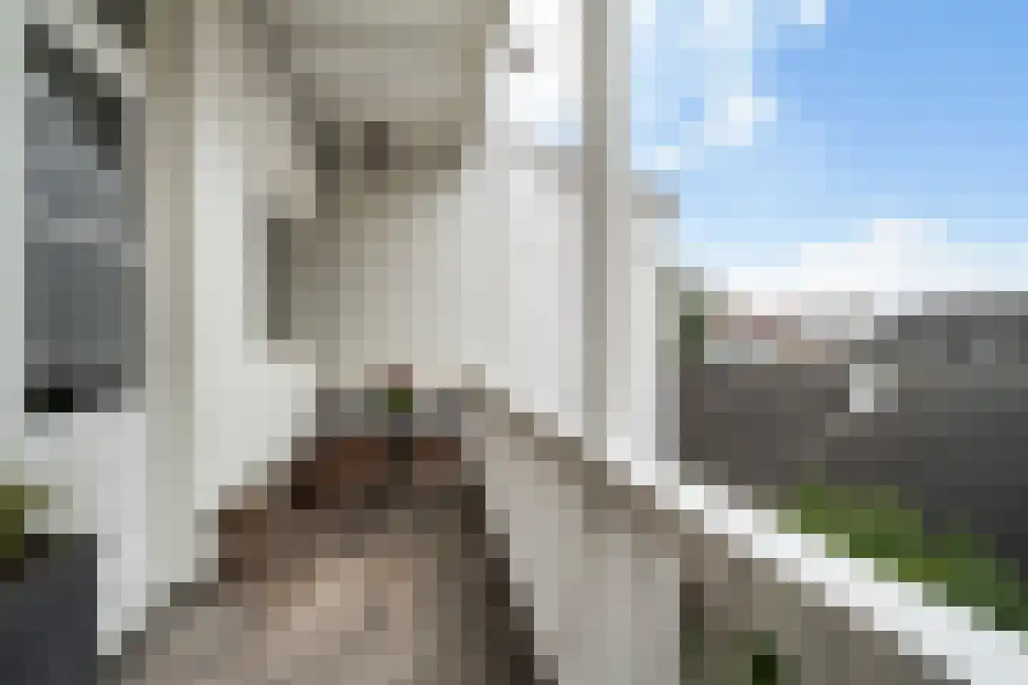 Spoorsingel 48 B Rotterdam thumbnail 39