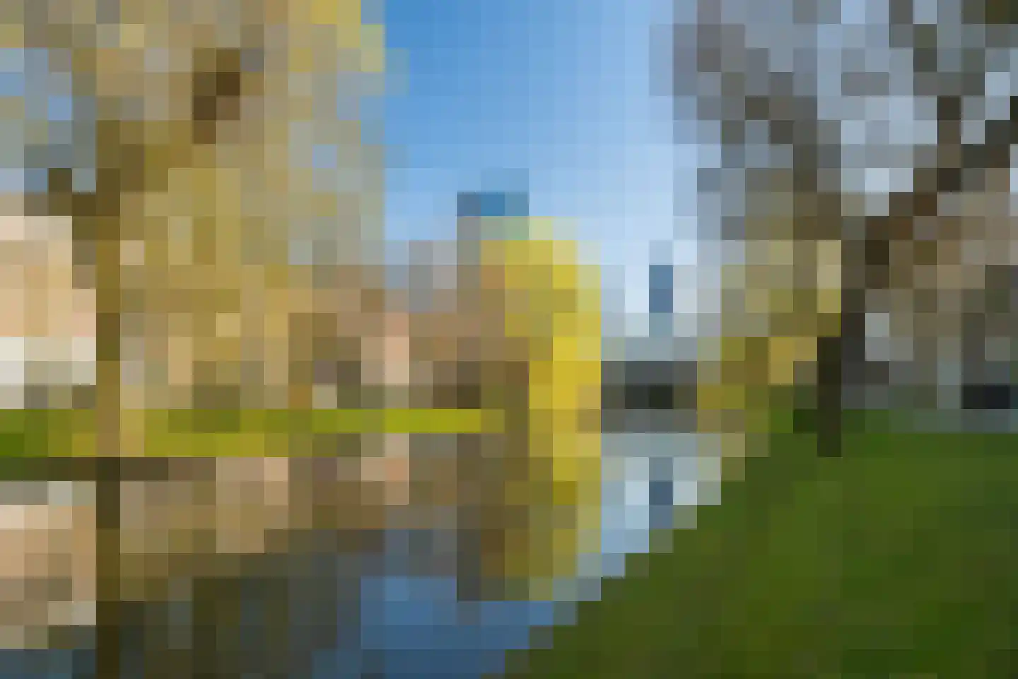 Spoorsingel 48 B Rotterdam thumbnail 4
