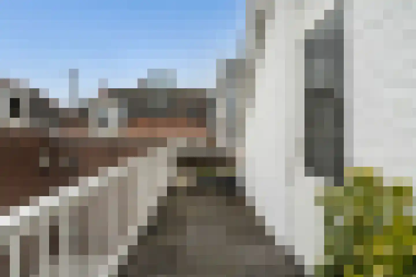 Spoorsingel 48 B Rotterdam thumbnail 40